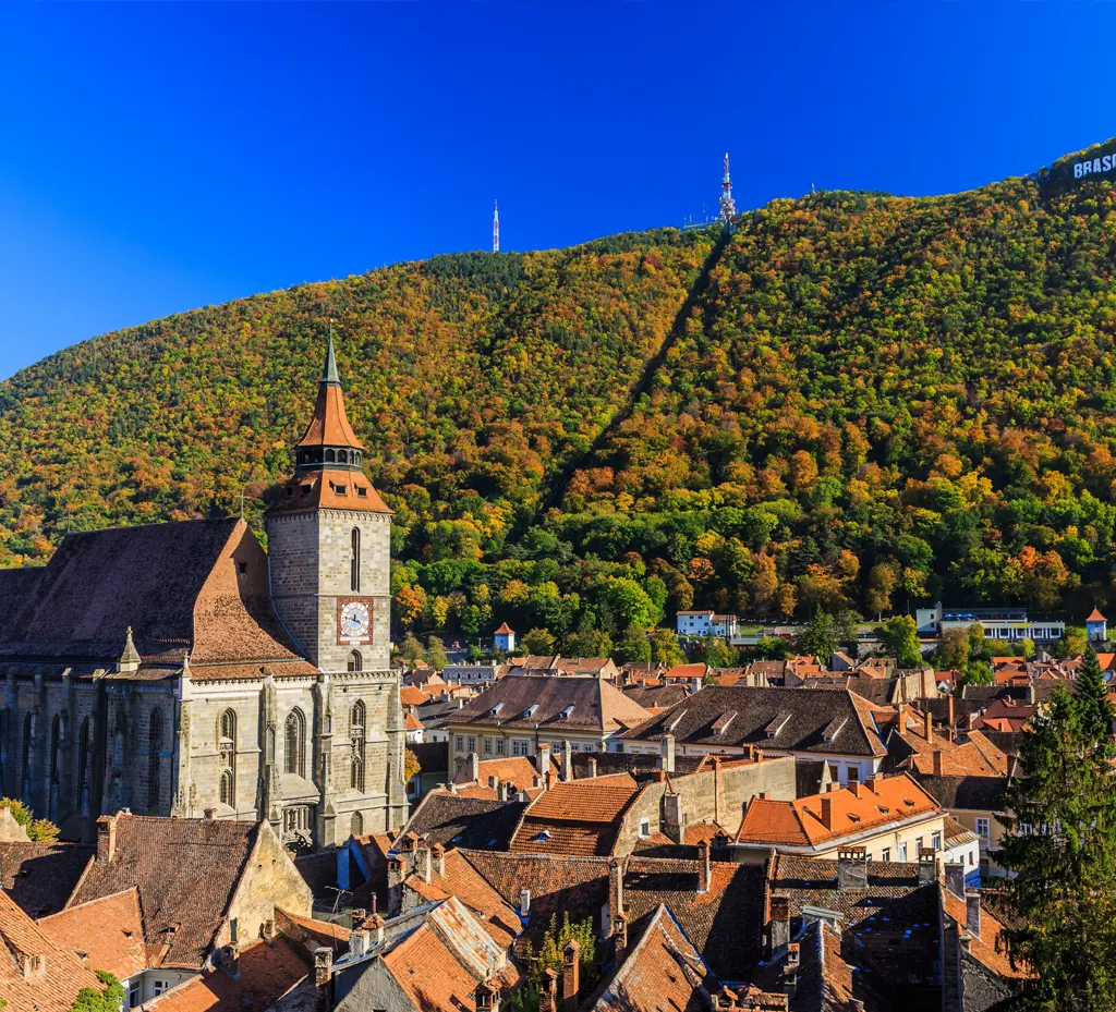 Transylvania Wine Tour - Romanian Wines