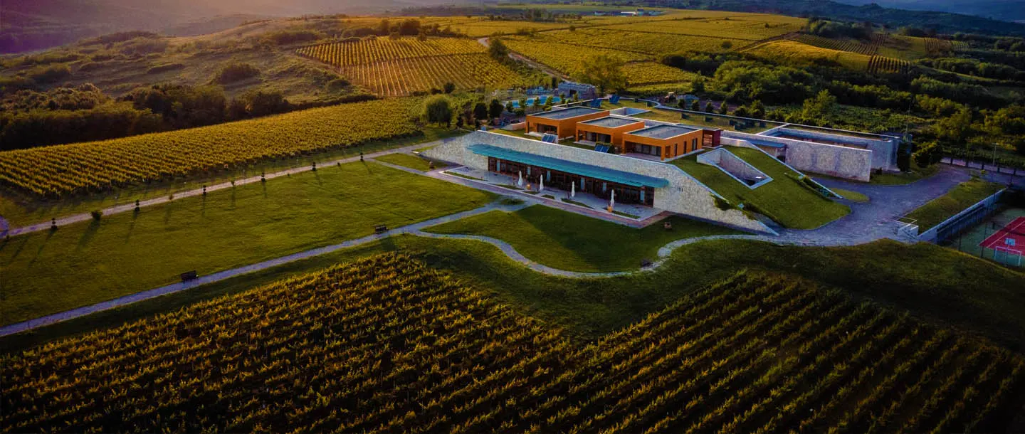 Romanian wines medals