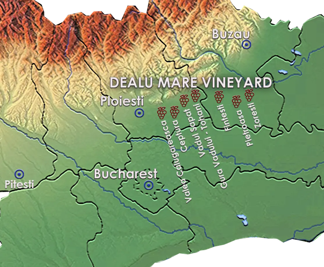 Map of Romania - Dealu Mare