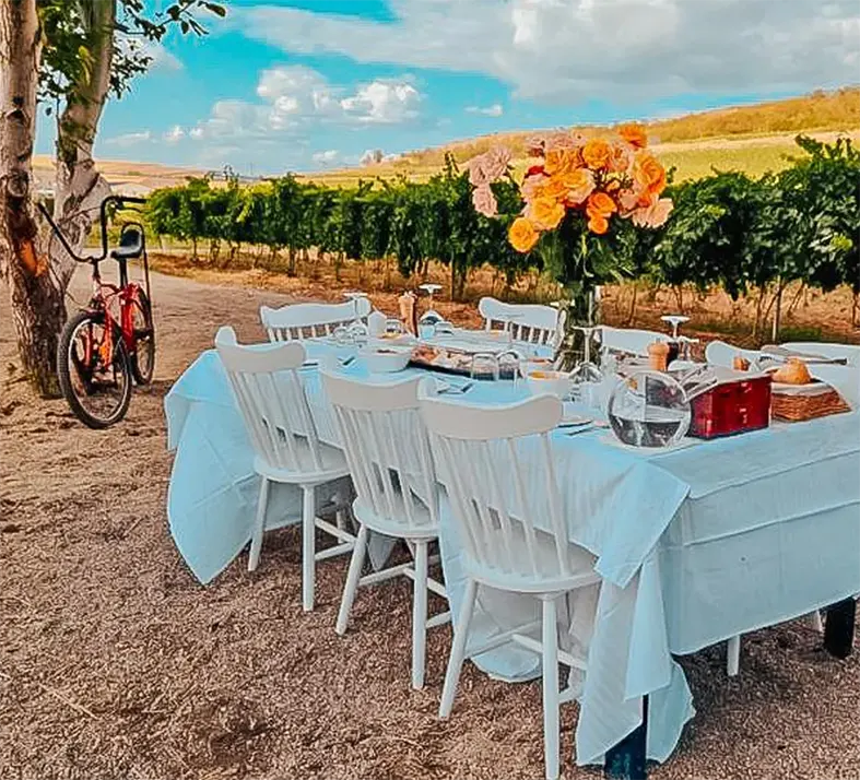 Cotnari & Strunga Wineries