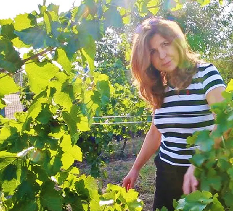 Domeniile Sahateni Winery