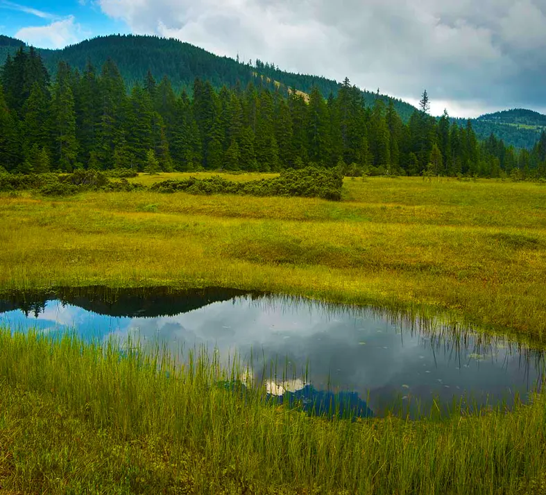 Apuseni Natural Park