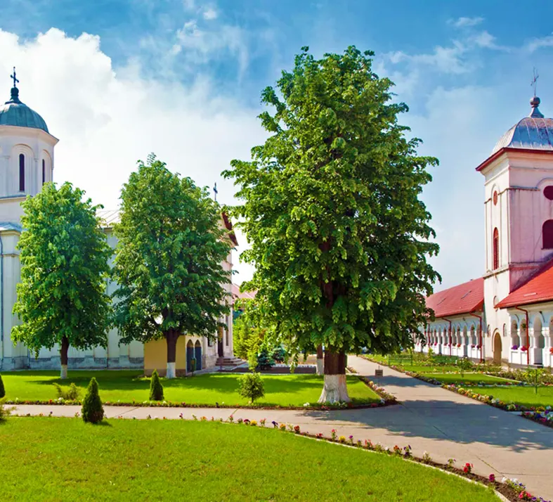 Dealu Mare 1 Day Trip