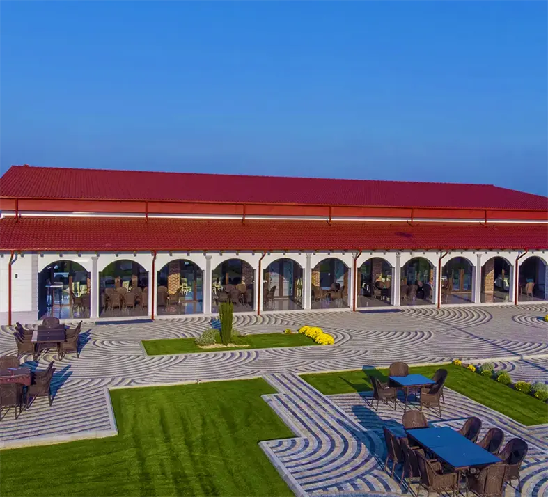 Odobesti, Cotesti & Panciu Vineyards