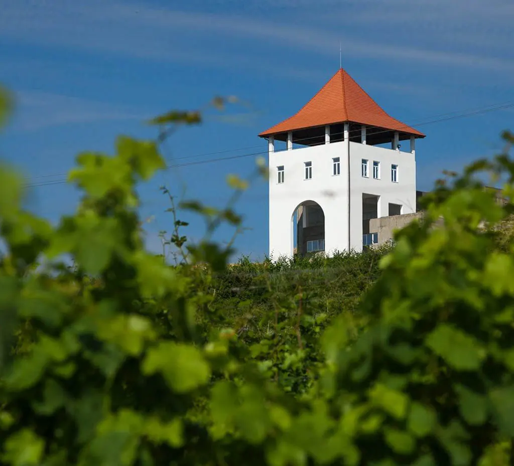 Villa Vinea Winery