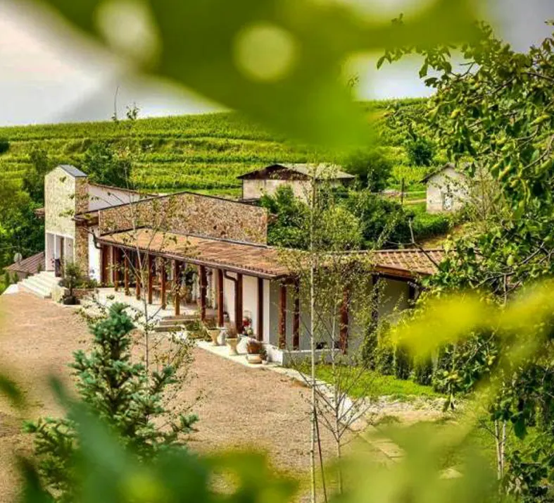 Valea Calugareasca Vineyard