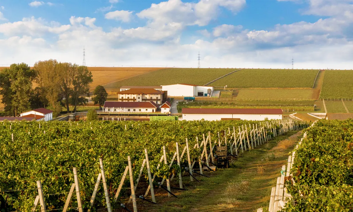 Hermeziu Winery