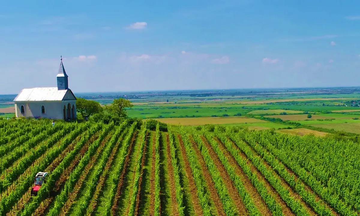 Nachbil Winery