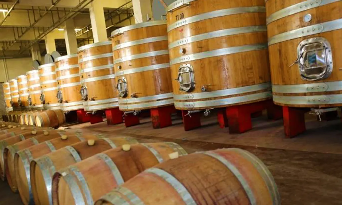 Petro Vaselo Winery