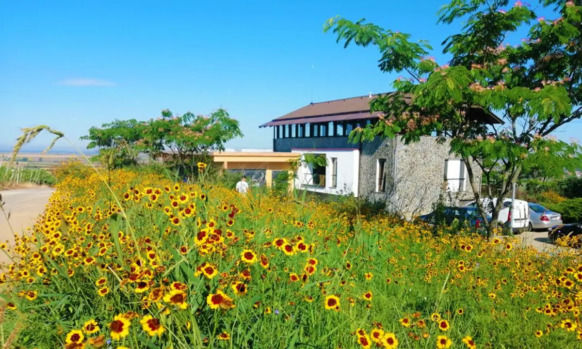Romanian Wines - Thesaurus Winery